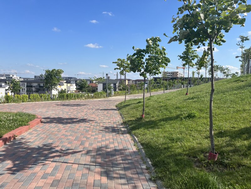 Titan -Auchan, teren constructii